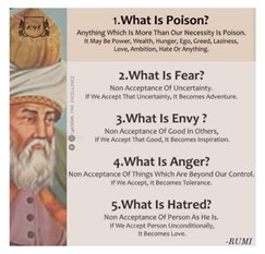 Rumy - Whar is Poison - Fear - Envy - Anger - Hatred 2024 maart