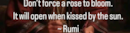 Do't fors a rose to bloom, it will be open....
