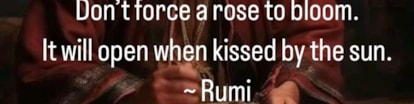 Rumi Uitspraak Don't forse a rose
