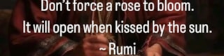 Rumi Uitspraak Don't forse a rose